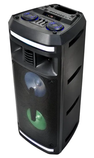 2022 Wholesale Dual 6.5 Inch Wireless Powerful DJ Portable PA Karaoke Small Size Bluetooth Audio Speaker with Mic ED-606